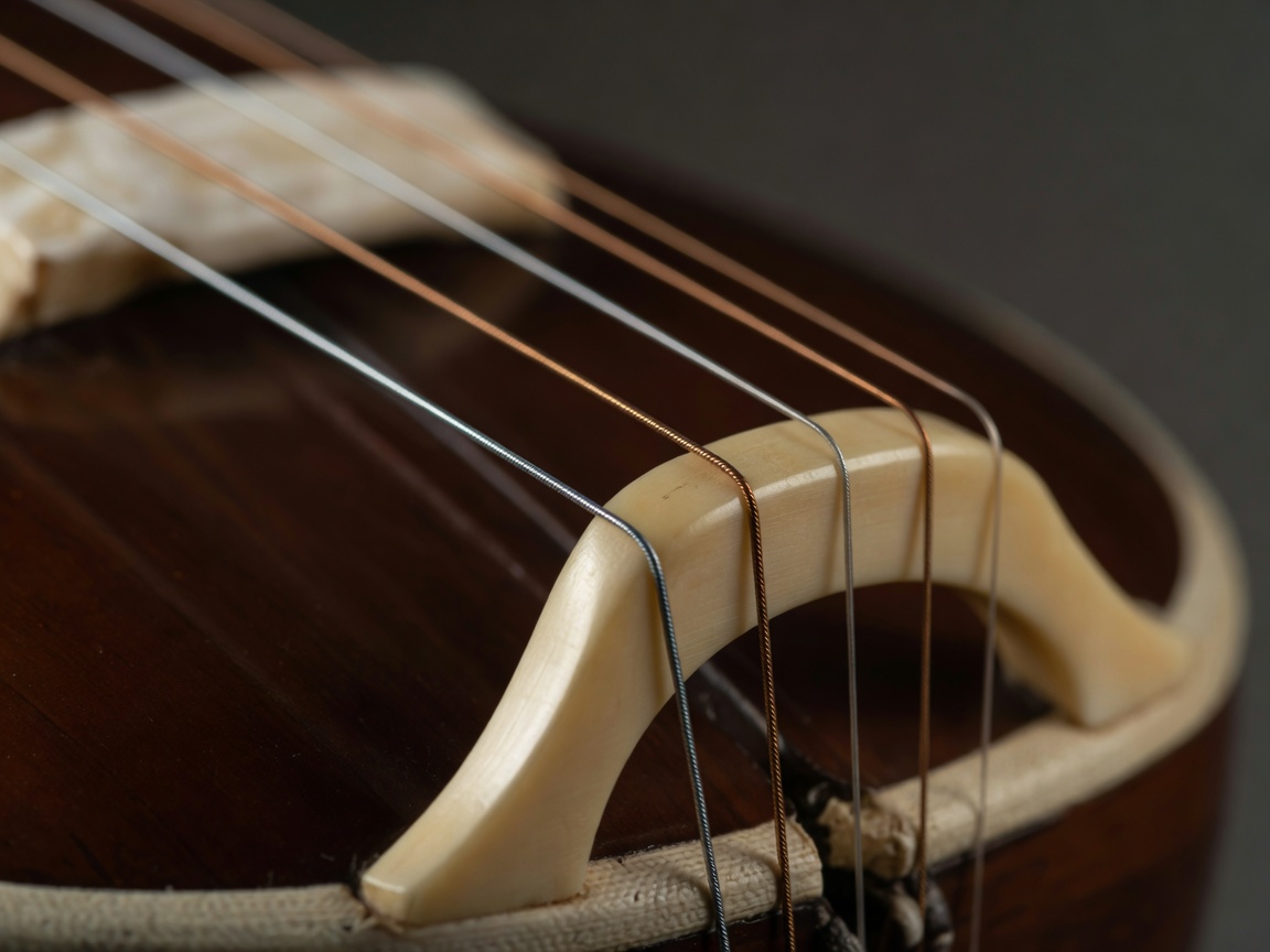 Extreme close-up of the long strings and curved bridge of a tanpura, with the gourd soft and blurred behind